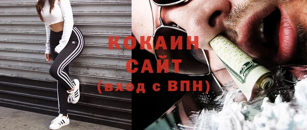стафф Алексин